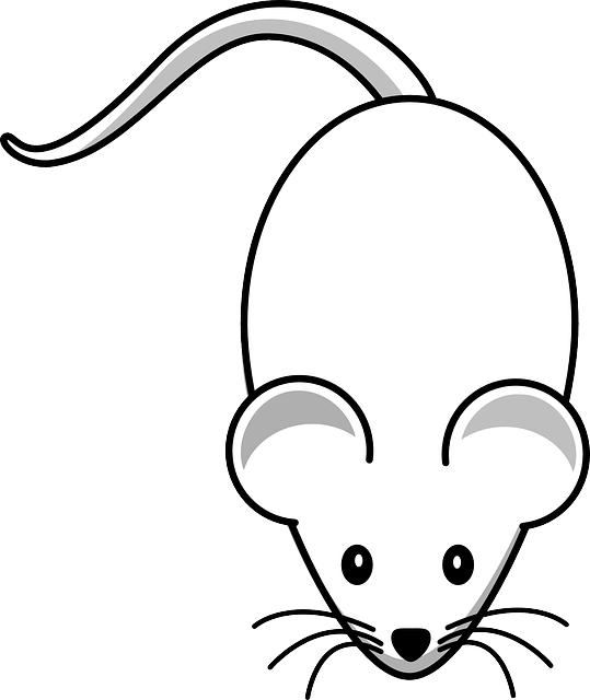 stinging-pest-pest-640x480-29081867.png