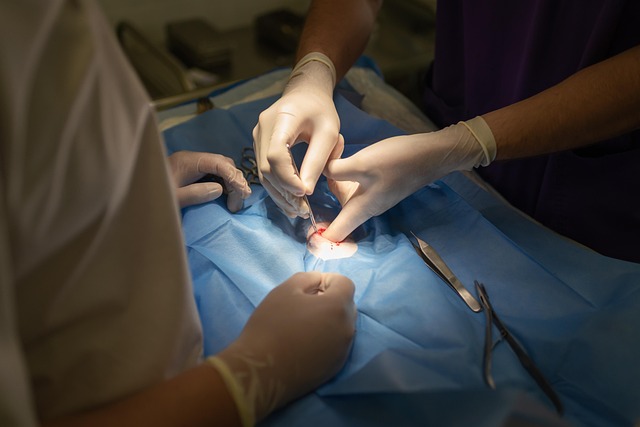 treatment, medicine, hospital, patience, surgery, surgeon, therapy