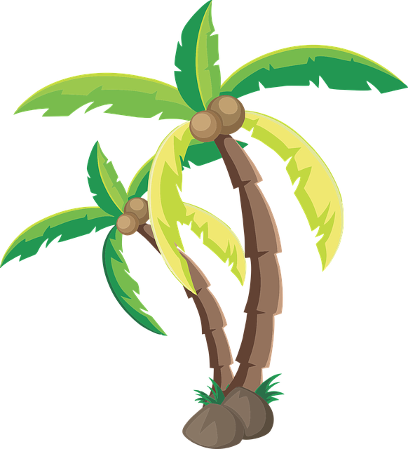 tree-shrub-640x480-3482593.png