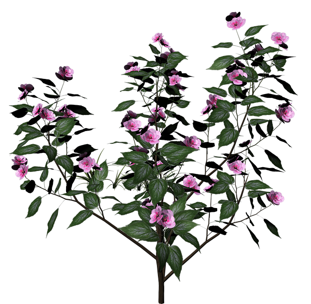 tree, shrub