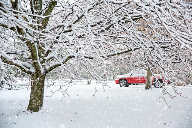 Protecting Leased & Owned Vehicles During Personal Use: Non-Trucking Insurance Solutions for Comprehensive Driver Safety