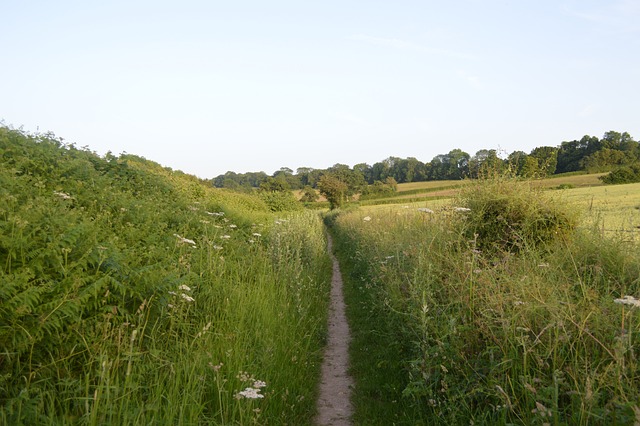 walkway, pathway