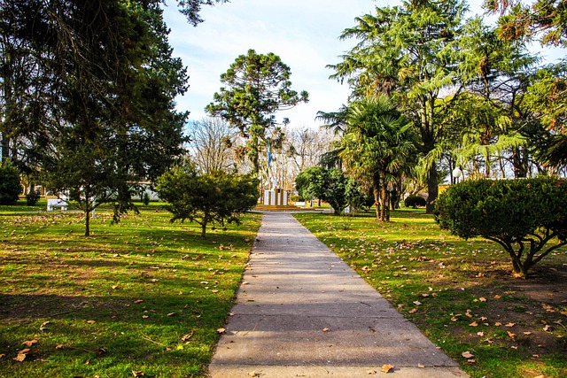 walkway, pathway