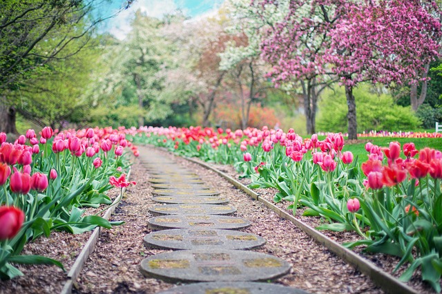 walkway, pathway