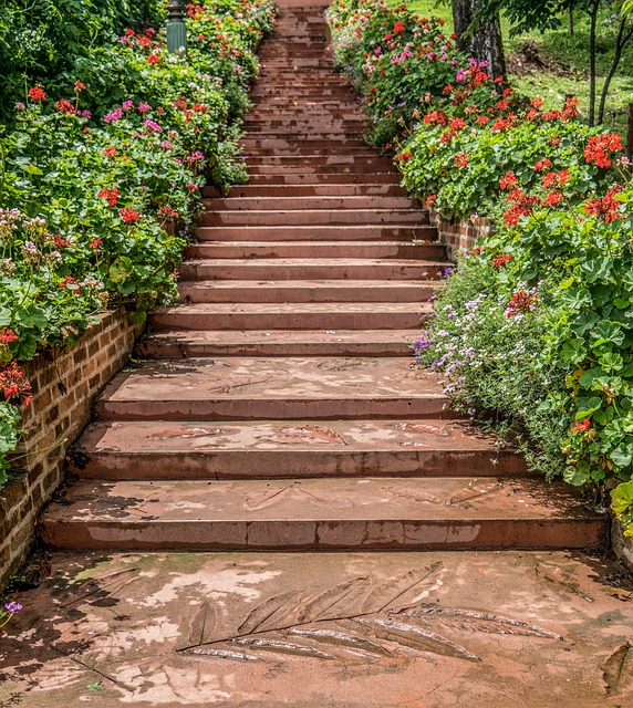 walkway, pathway