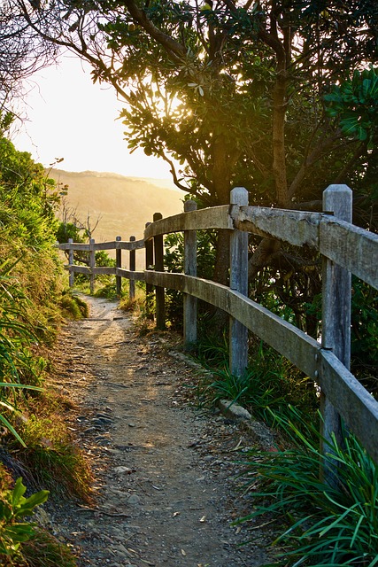 walkway, pathway