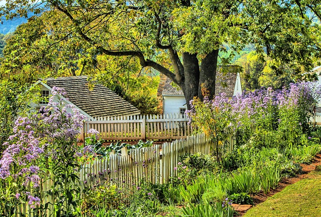 yard, landscaping