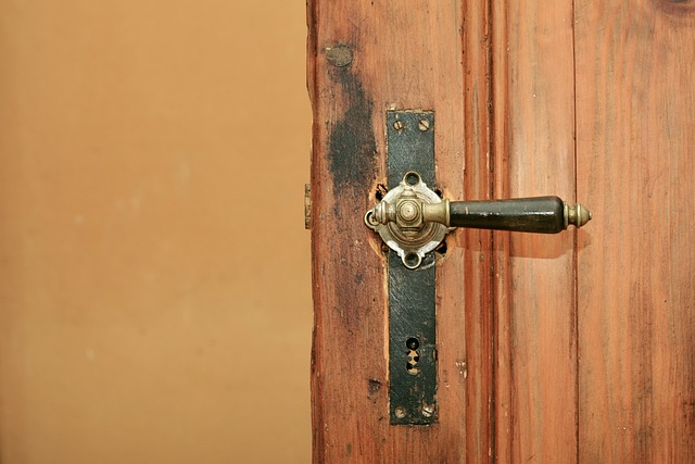 access control, smart lock, keyless door lock, door lock, house, door
