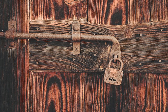 access control, smart lock, keyless door lock, door lock, house, door