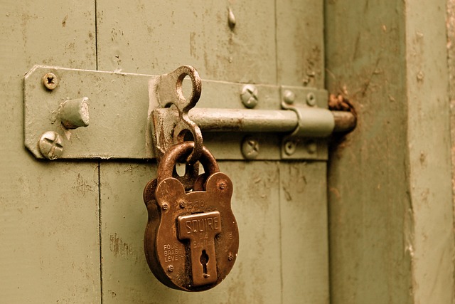 Customized Access Control: Securing Residential Properties with Smart Solutions