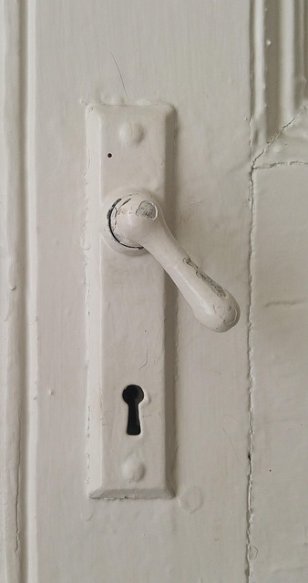 Streamline Home Entry with Modern Controls: A Comprehensive Guide