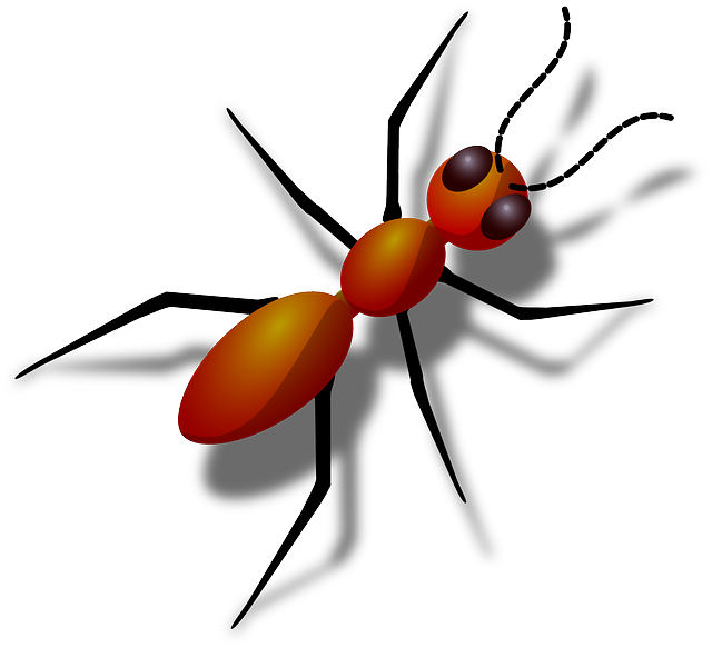 ant-640x480-29211215.png