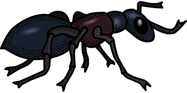 ant-640x480-5709152.png