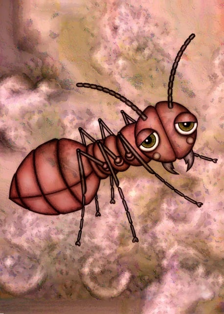 ant-640x480-63370176.jpeg