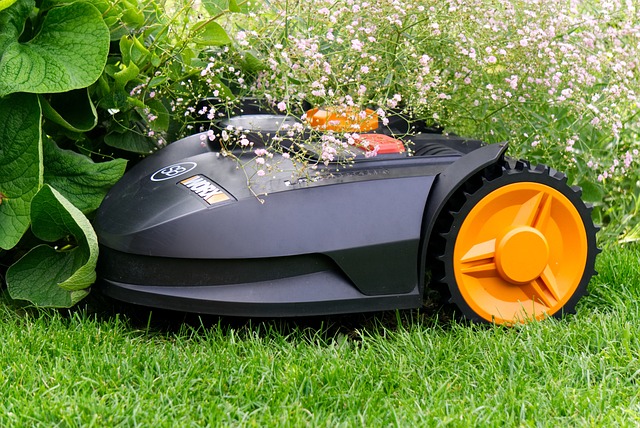 artificial grass, turf