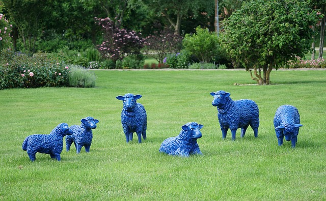 artificial grass, turf