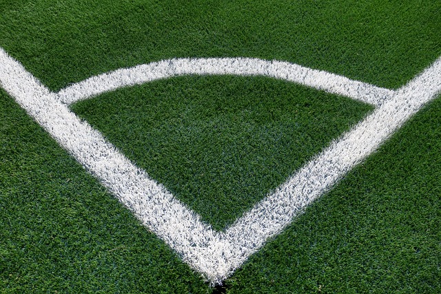 artificial grass, turf