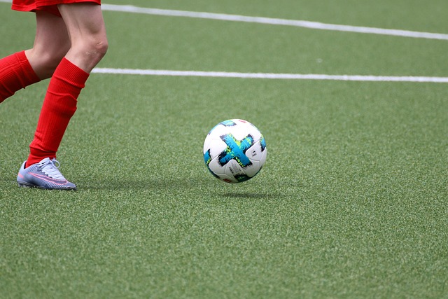 artificial grass, turf