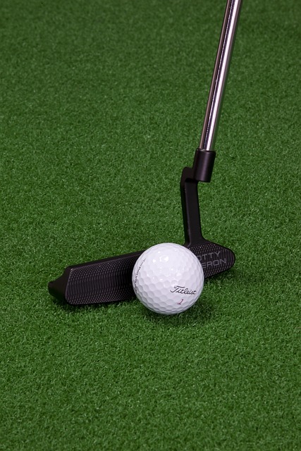 artificial grass, turf