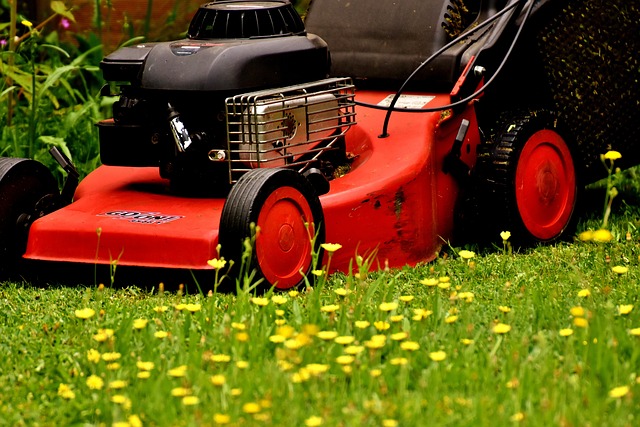 artificial grass, turf