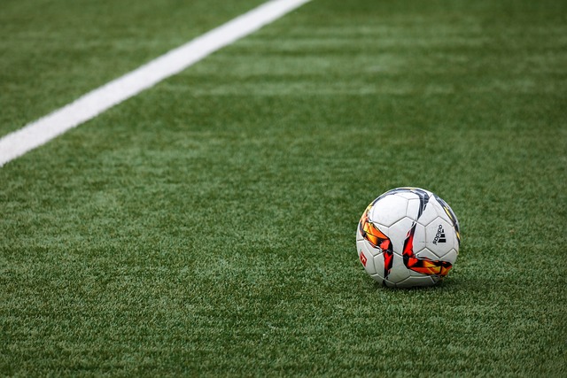 artificial grass, turf