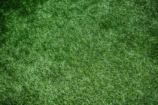artificial grass, turf