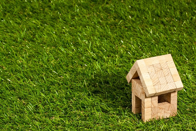 artificial grass, turf