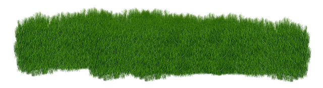 artificial grass, turf