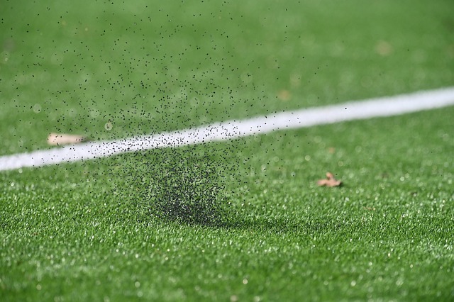 artificial-grass-turf-640x480-54209600.jpeg
