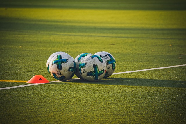 artificial-grass-turf-640x480-64250309.jpeg