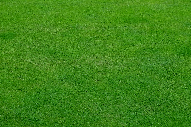 artificial grass, turf