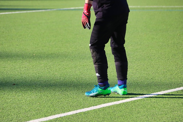 artificial grass, turf