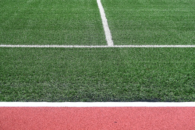 artificial grass, turf