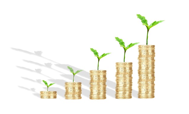 asset, wealth, properties, inheritance, will and testament