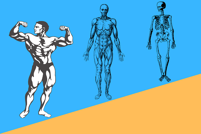 athlete-athlete-pain-athlete-medical-640x480-92361408.png