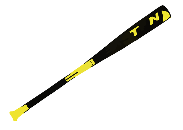 bat-640x480-27981163.png