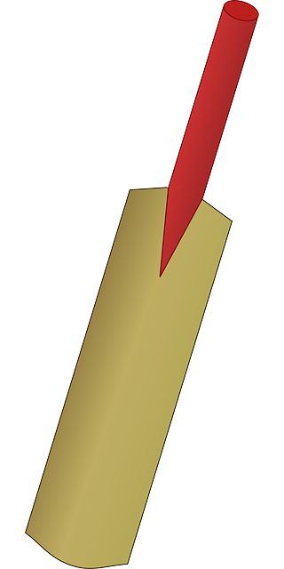 bat-640x480-62164213.png