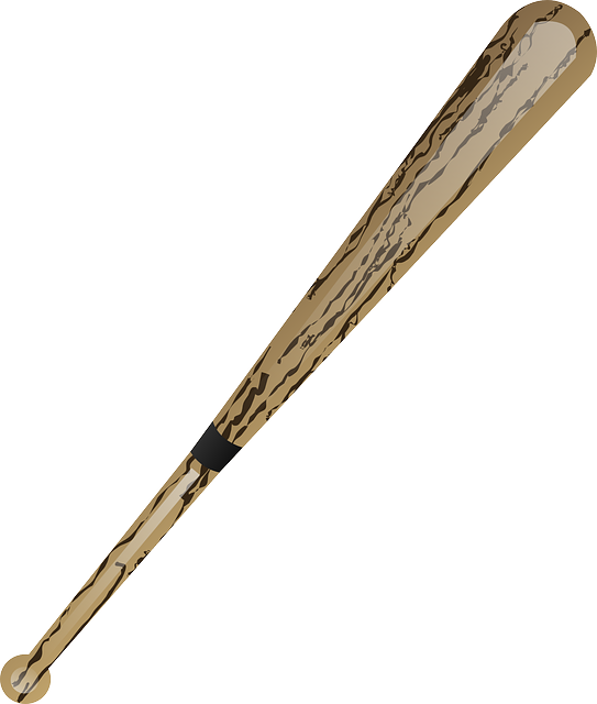bat-640x480-84246632.png