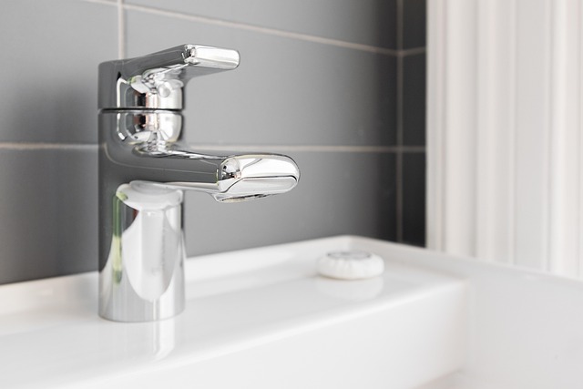 Solar Water Heating: Eco-Conscious Hot Water Source with Low-Flow Toilets