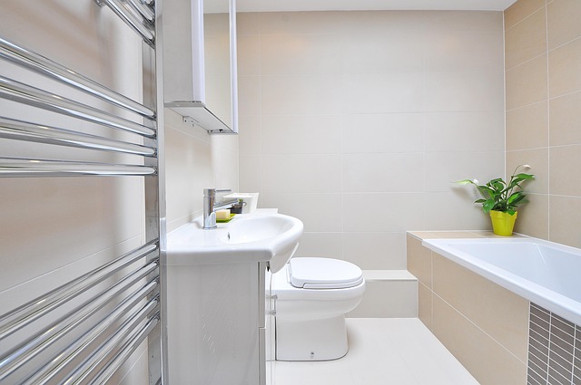 Sustainable Flooring & Walls: Efficient Bathroom Remodel Options