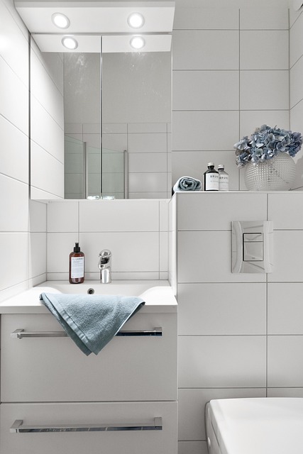 Elevate Your Bathroom: Expert Cabinets for Function & Style