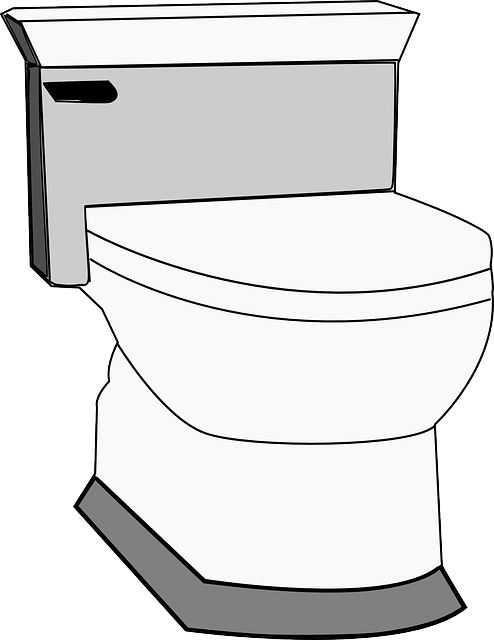 bathroom-floor-bathroom-640x480-3880403.png