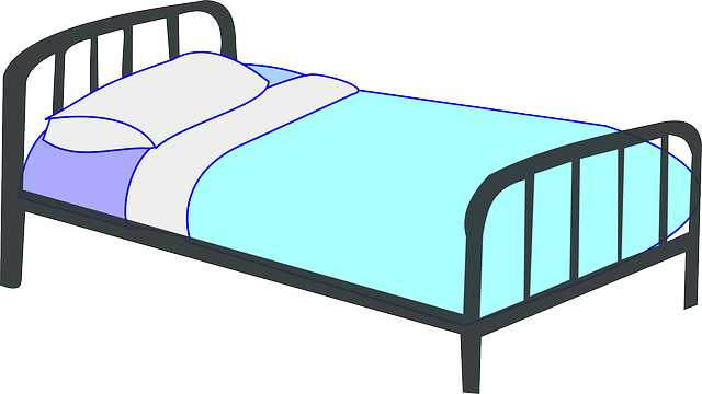 bed-bug-640x480-19484175.png