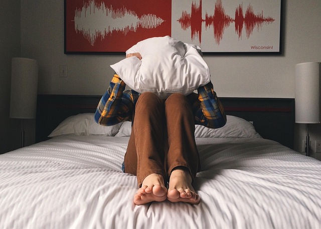 Post-Treatment Cleaning: Comprehensive Bed Bug Removal Solutions for a Pest-Free Home