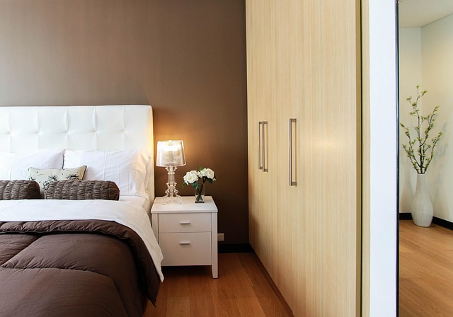 bed-bug-640x480-46250111.jpeg