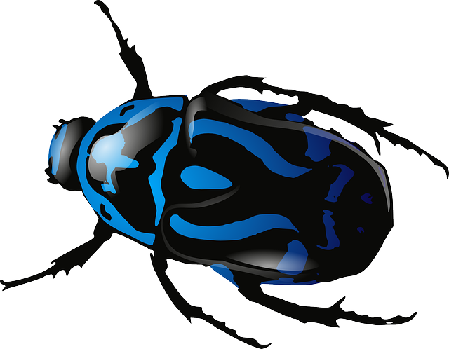 bed-bug-640x480-64507566.png