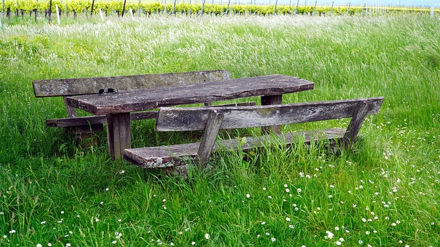 Elevate Your Outdoor Space with Ergonomic Custom Metal Benches