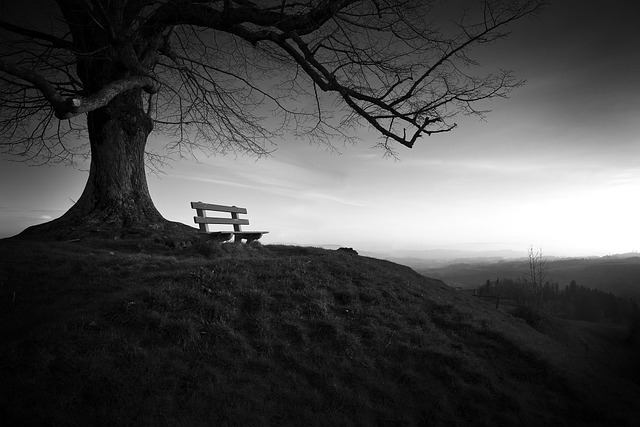 bench-640x480-57255740.jpeg