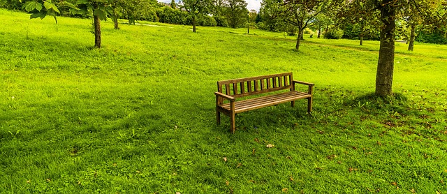 bench-640x480-66575369.jpeg
