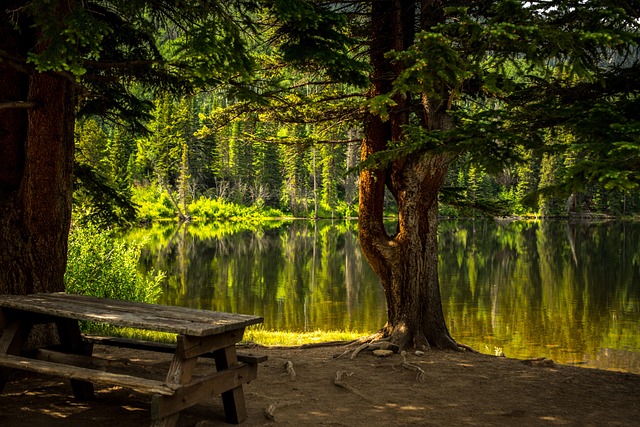 bench-640x480-86011746.jpeg